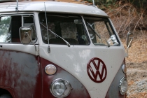 1967 VW Bus Derelict